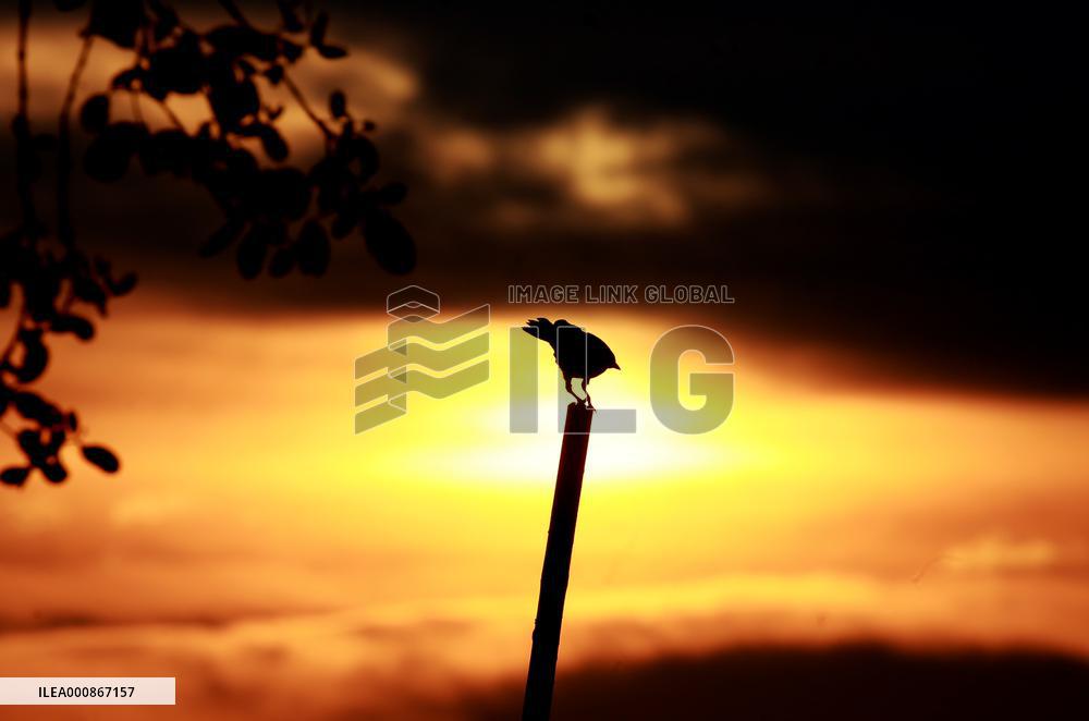 MYANMAR-YANGON-SUNRISE