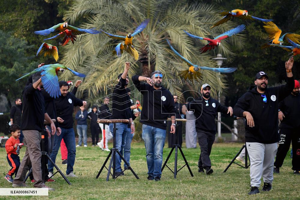 KUWAIT-HAWALLI GOVERNORATE-PARROT TRAINING