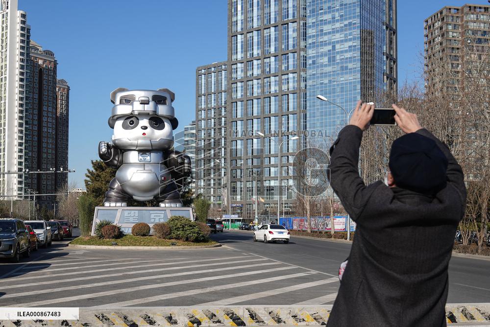 CHINA-BEIJING-GIANT PANDA-ART INSTALLATION (CN)