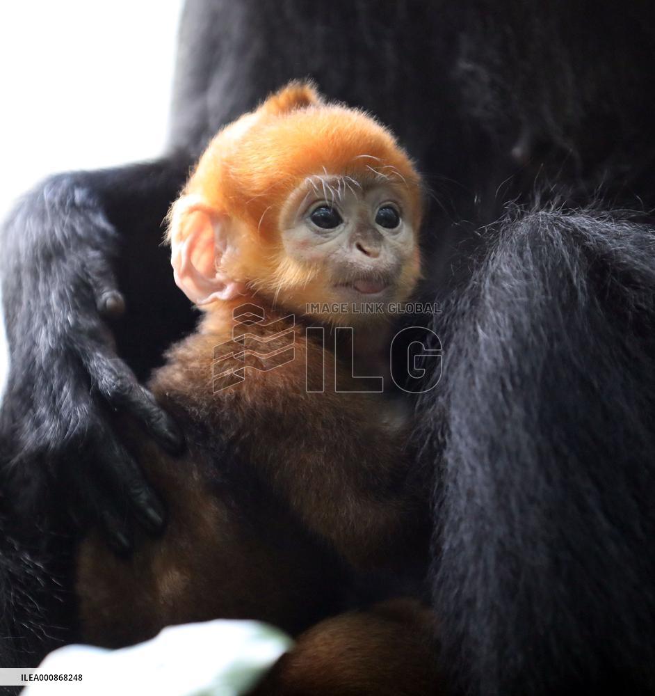XINHUA-PICTURES OF THE YEAR 2021-CHINA NEWS