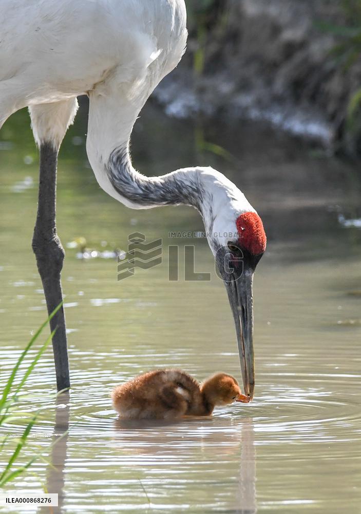 XINHUA-PICTURES OF THE YEAR 2021-CHINA NEWS