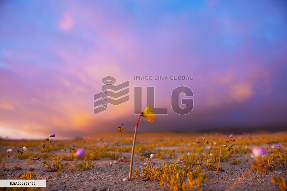 XINHUA-PICTURES OF THE YEAR 2021-WORLD NEWS