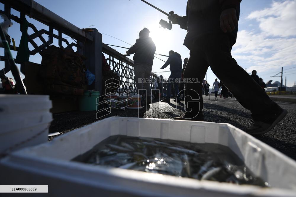 TURKEY-ISTANBUL-ANGLERS