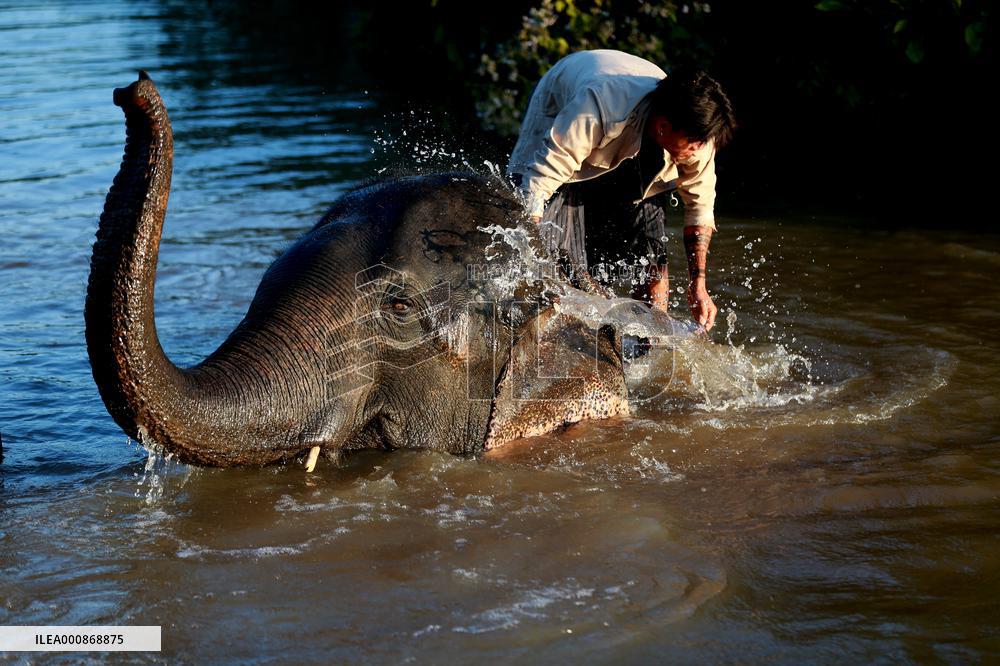MYANMAR-BAGO-WINGABAW ELEPHANT CAMP