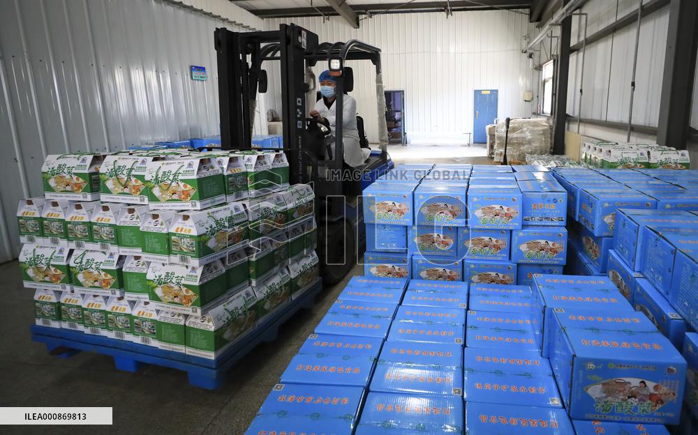 CHINA-LIAONING-CHINESE SAUERKRAUT (CN)