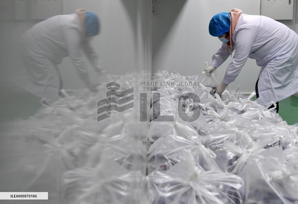 CHINA-HENAN-YUZHOU-COVID-19-TCM (CN)