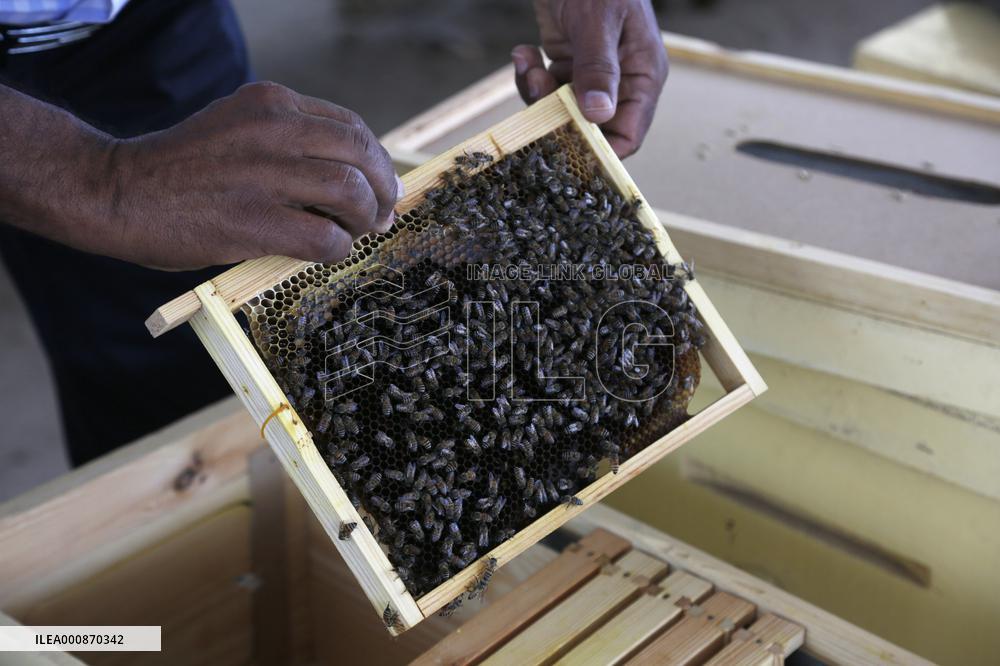 YEMEN-SANAA-HONEY