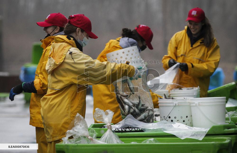 CANADA-RICHMOND-HERRING-SALE