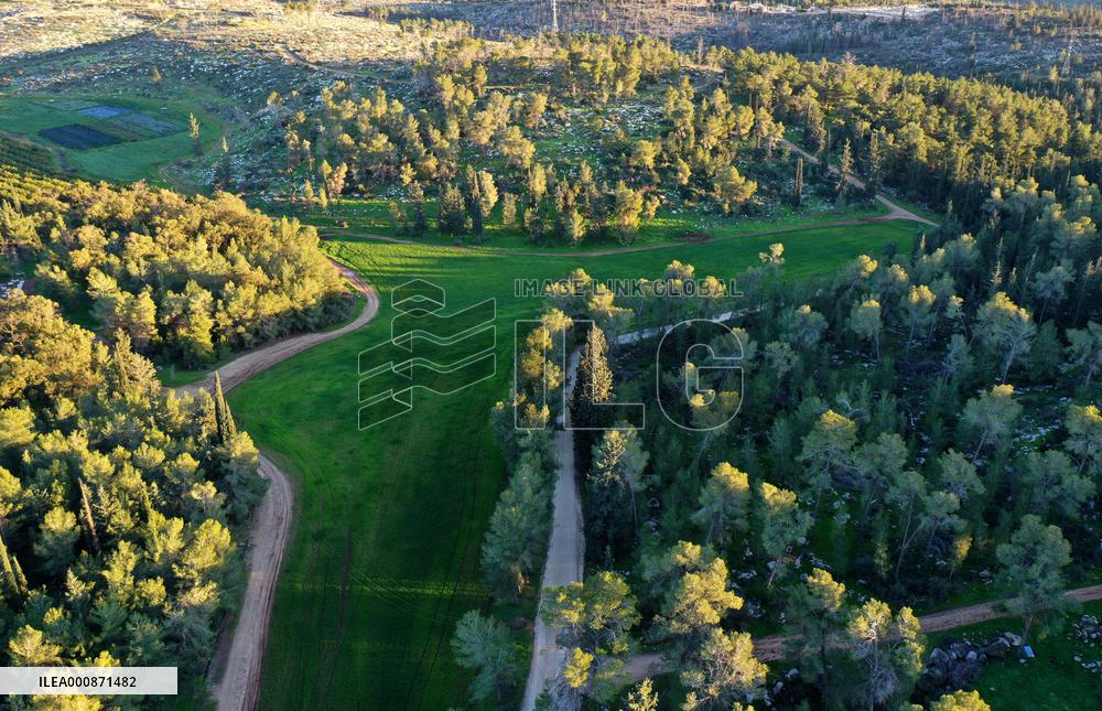 ISRAEL-BEN SHEMEN FOREST-AERIAL VIEW