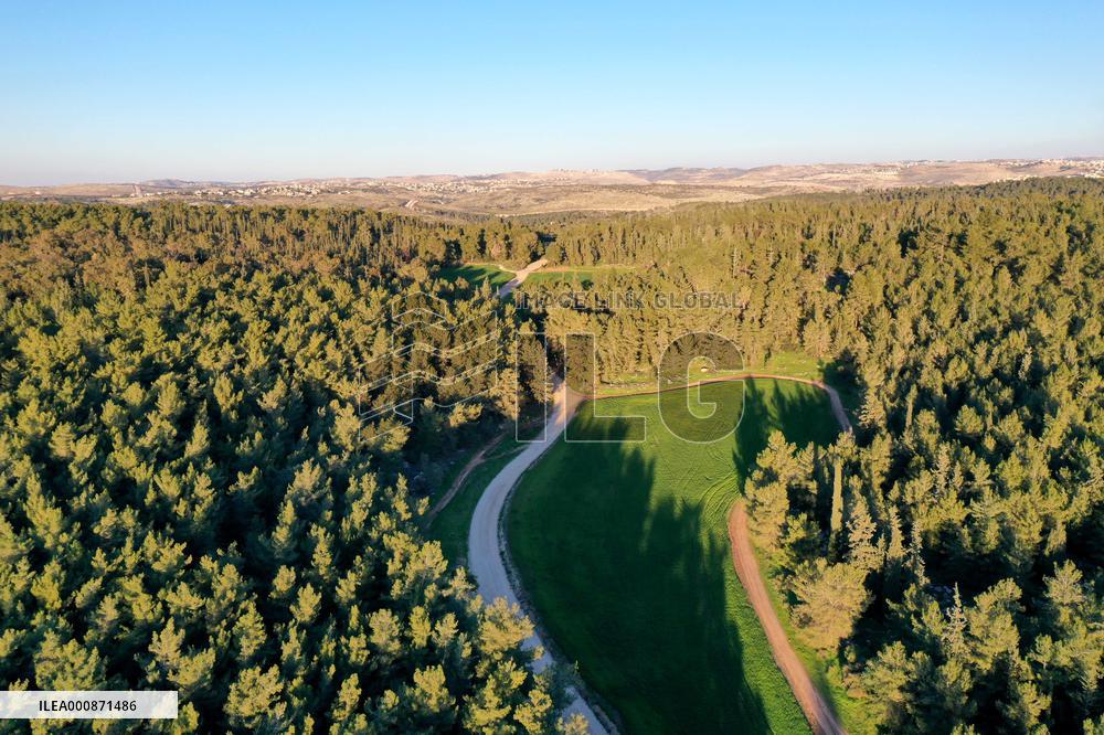 ISRAEL-BEN SHEMEN FOREST-AERIAL VIEW