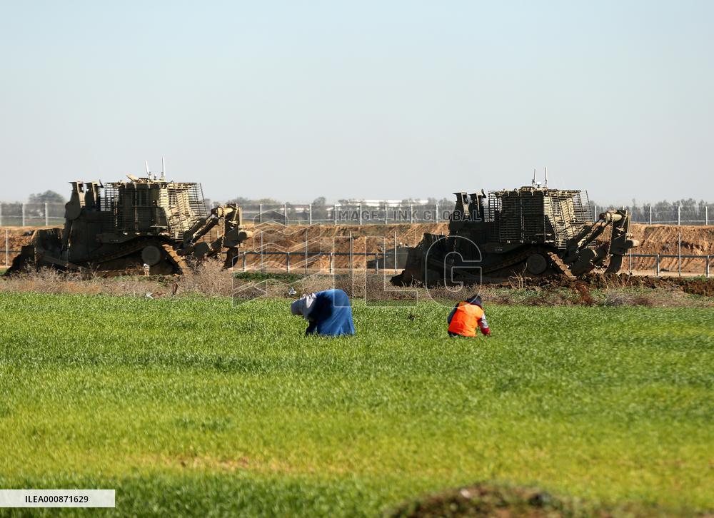 MIDEAST-GAZA-KHAN YOUNIS-FARM