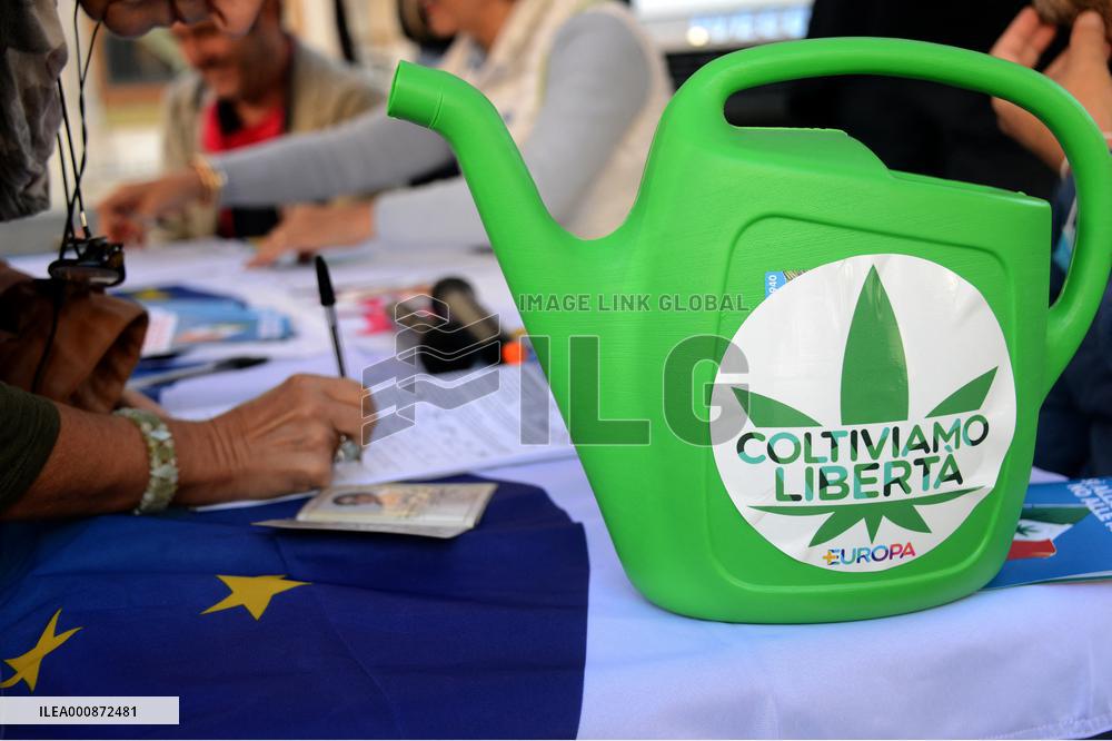 Petition for referendum on liberalising cannabis - Rome