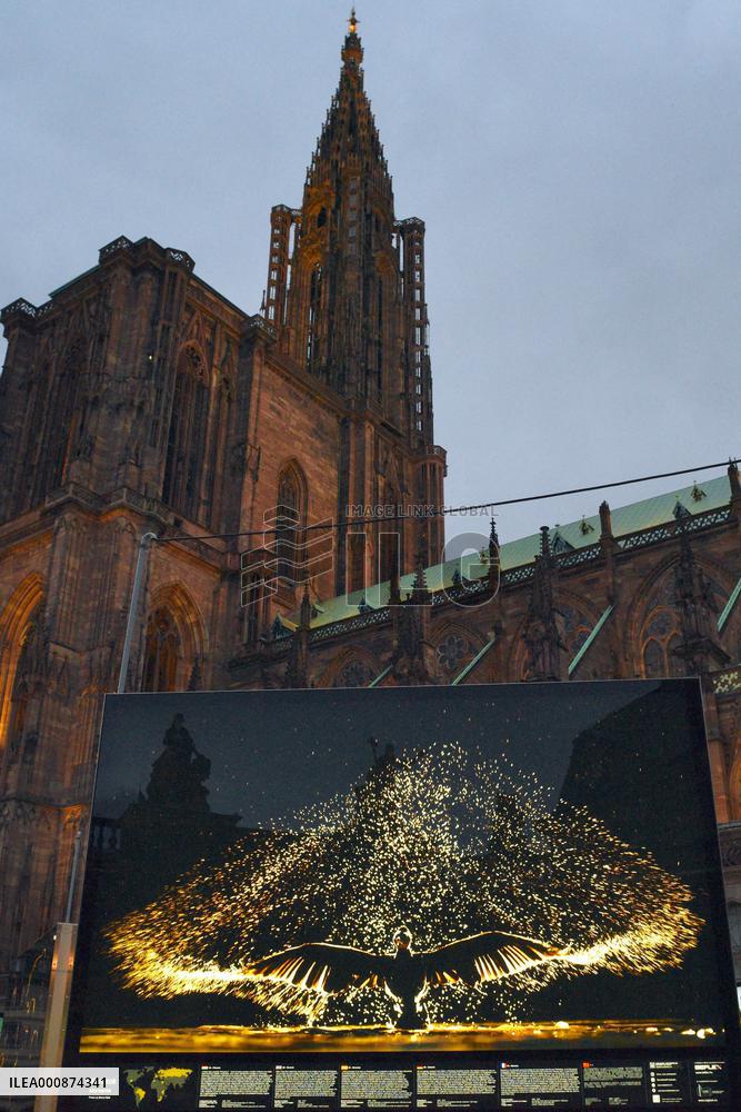 Bence Mate Photos Outdoor Exhibition - Strasbourg