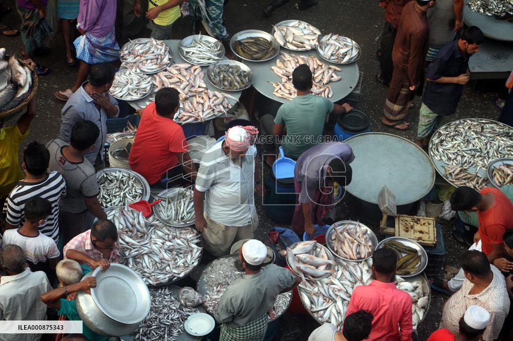 Jatrabari Fish Market In Dhaka - Bangladesh