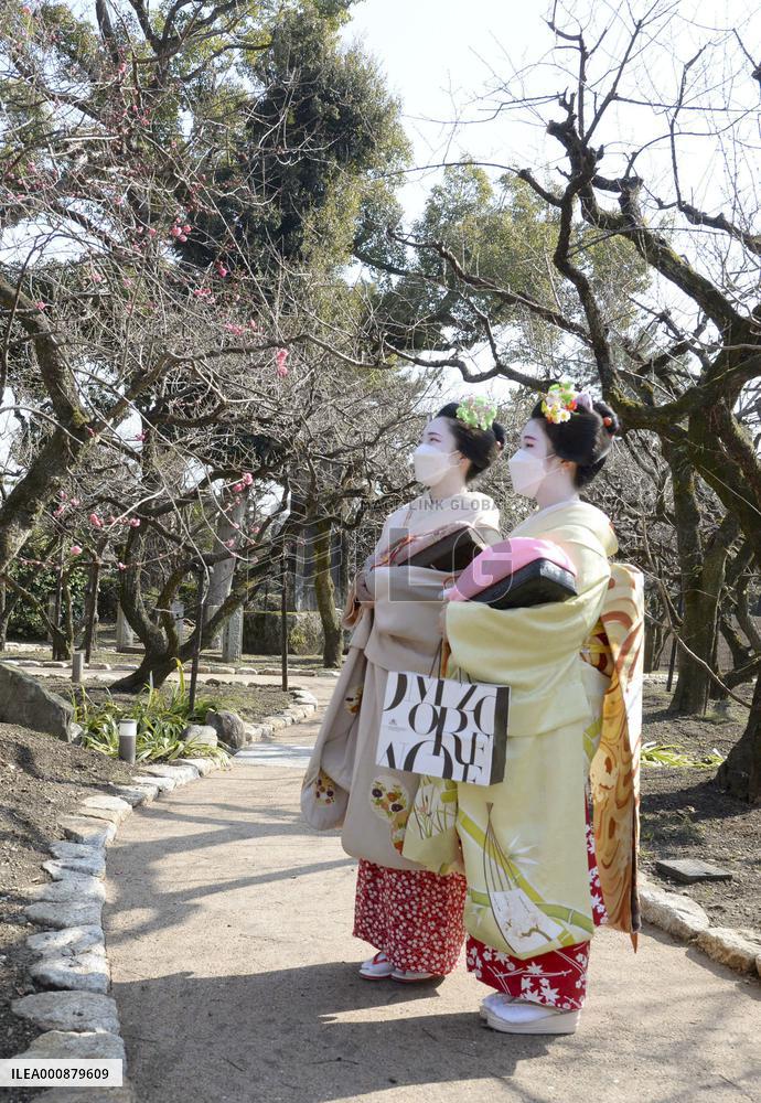 Flower garden at Kyoto shrine