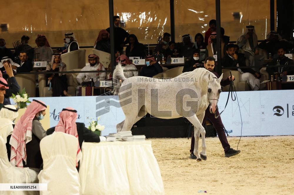 SAUDI ARABIA-RIYADH-HORSES FESTIVAL-HORSE AUCTION