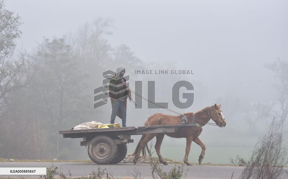 KASHMIR-JAMMU-FOG