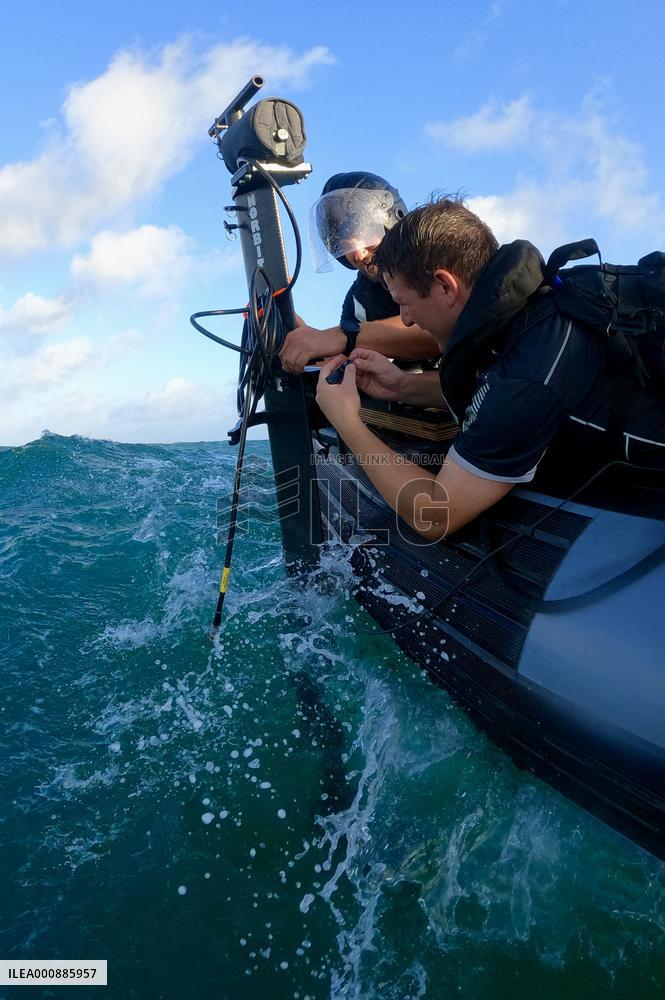 TONGA-NEW ZEALAND-NAVY-SURVEY