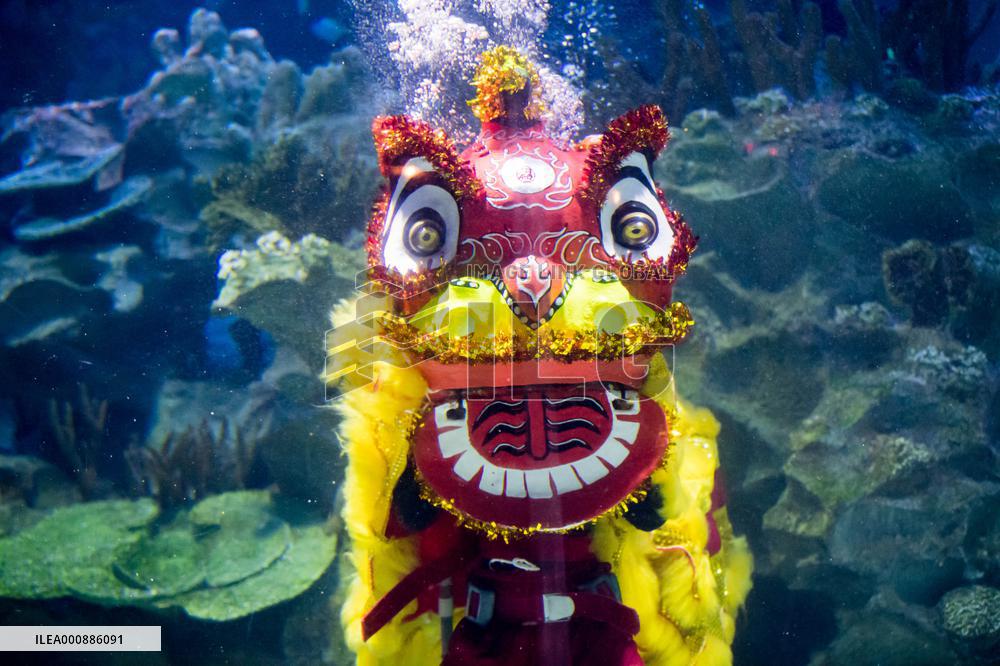 MALAYSIA-KUALA LUMPUR-LUNAR NEW YEAR-UNDERWATER PERFORMANCE