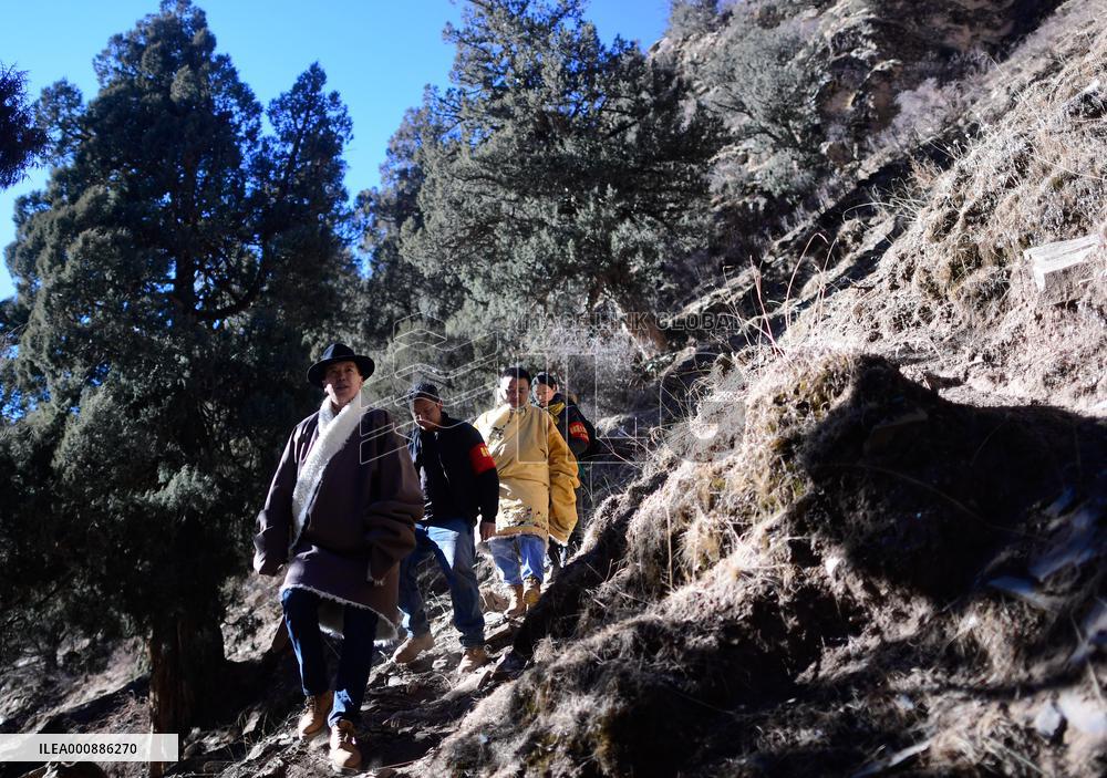 CHINA-QINGHAI-SANJIANGYUAN-PROTECTION (CN)