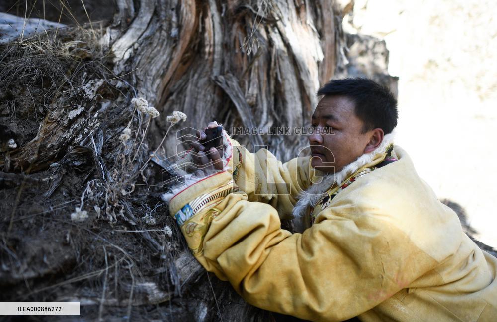 CHINA-QINGHAI-SANJIANGYUAN-PROTECTION (CN)