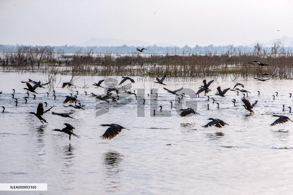 THAILAND-NAKHON SAWAN-BUENG BORAPHET-WETLAND
