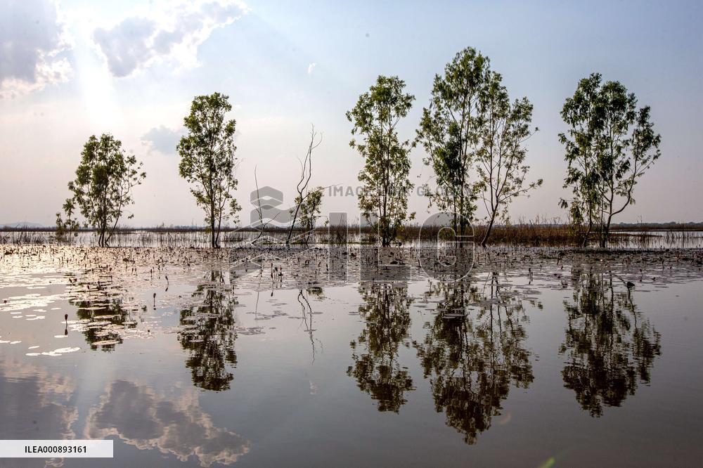 THAILAND-NAKHON SAWAN-BUENG BORAPHET-WETLAND