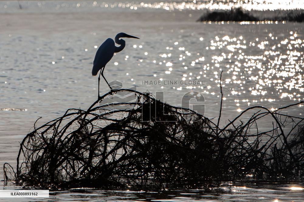THAILAND-NAKHON SAWAN-BUENG BORAPHET-WETLAND