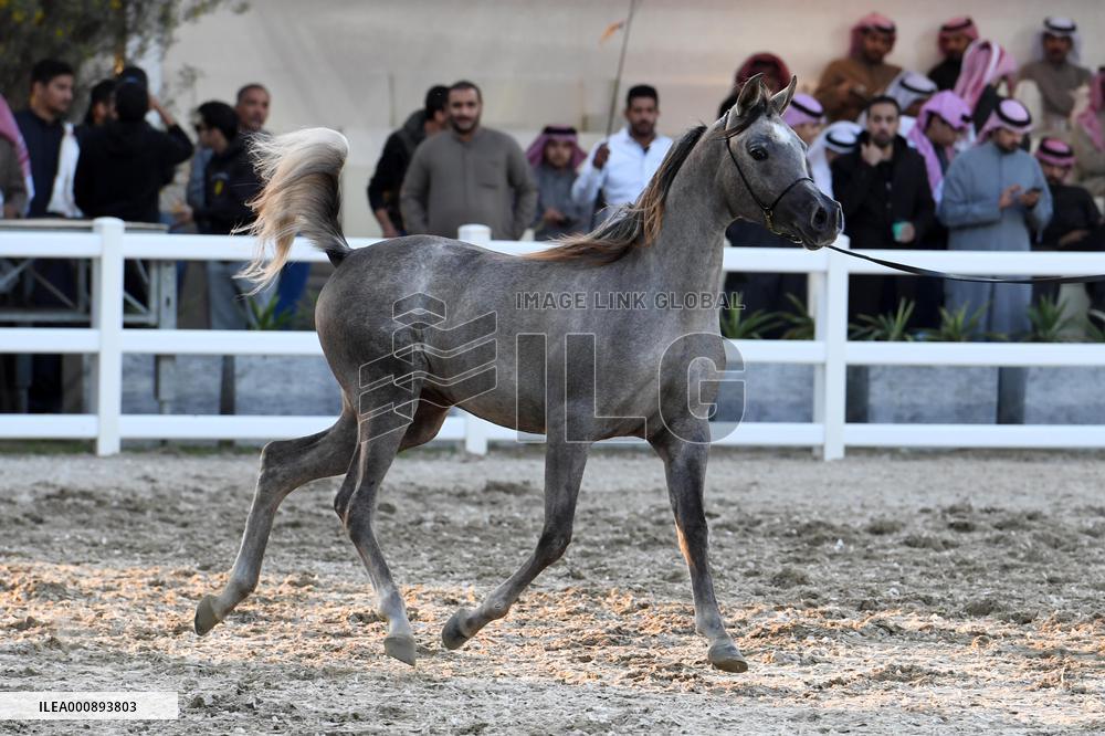 KUWAIT-MUBARAK AL-KABEER-INTERNATIONAL ARABIAN HORSE CHAMPIONSHIP