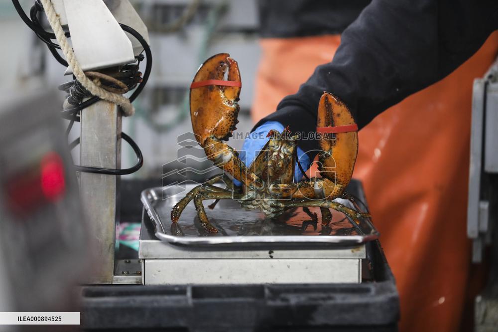 U.S.-MAINE-LOBSTER INDUSTRY-CHINESE MARKET