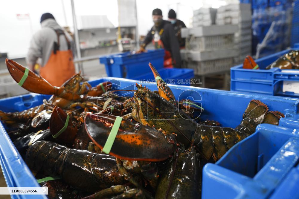 U.S.-MAINE-LOBSTER INDUSTRY-CHINESE MARKET