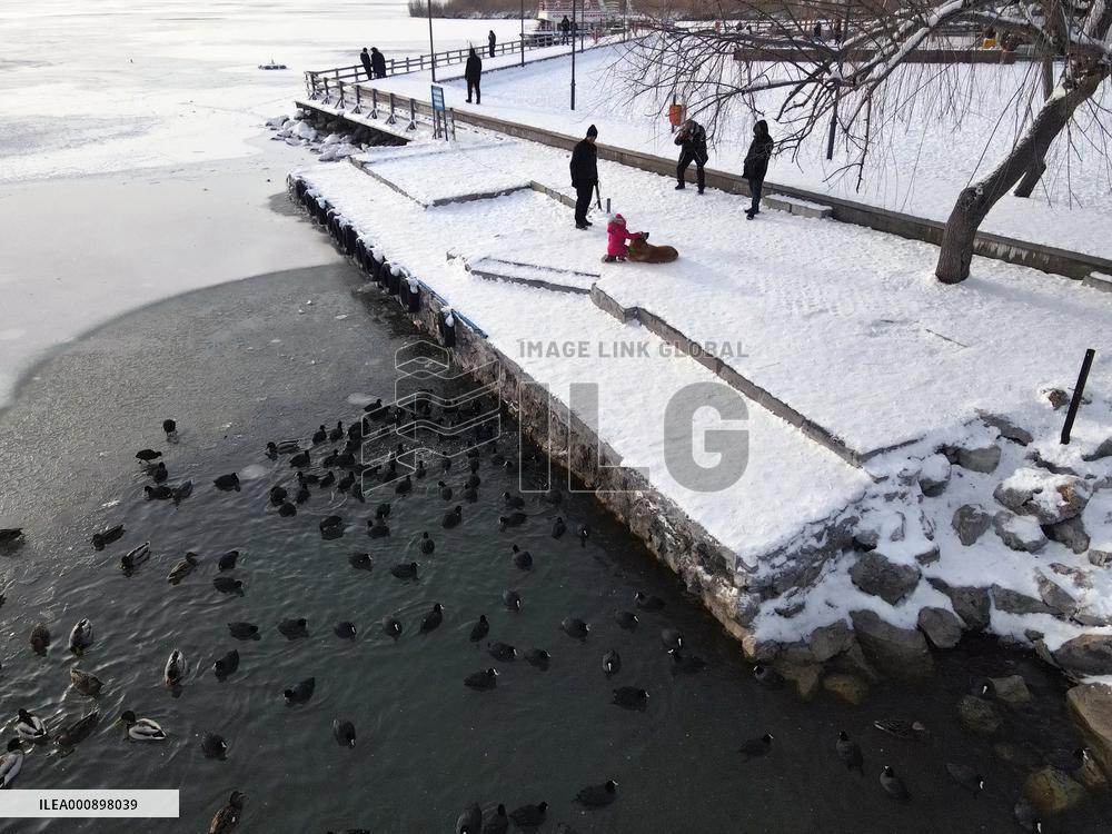 TURKEY-ANKARA-MOGAN LAKE-SNOWFALL