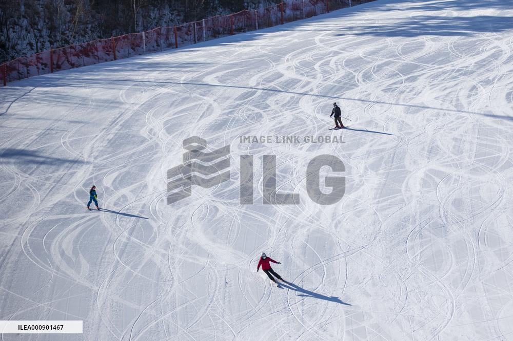 SOUTH KOREA-PYEONGCHANG-SKIING