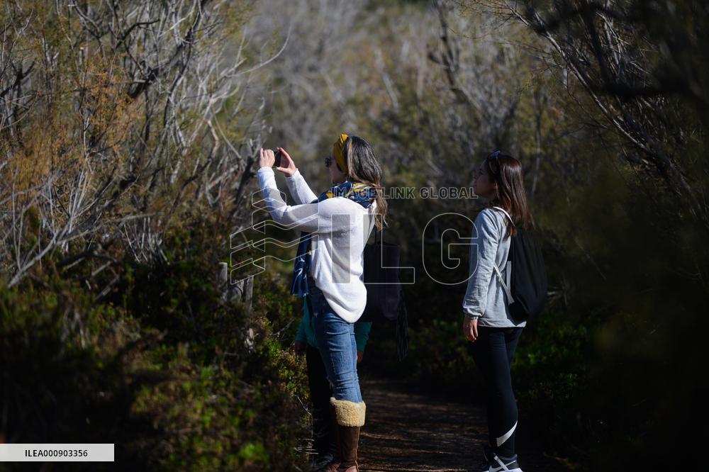 MALTA-MELLIEHA-NATURE-RESERVE-WORLD WETLANDS DAY