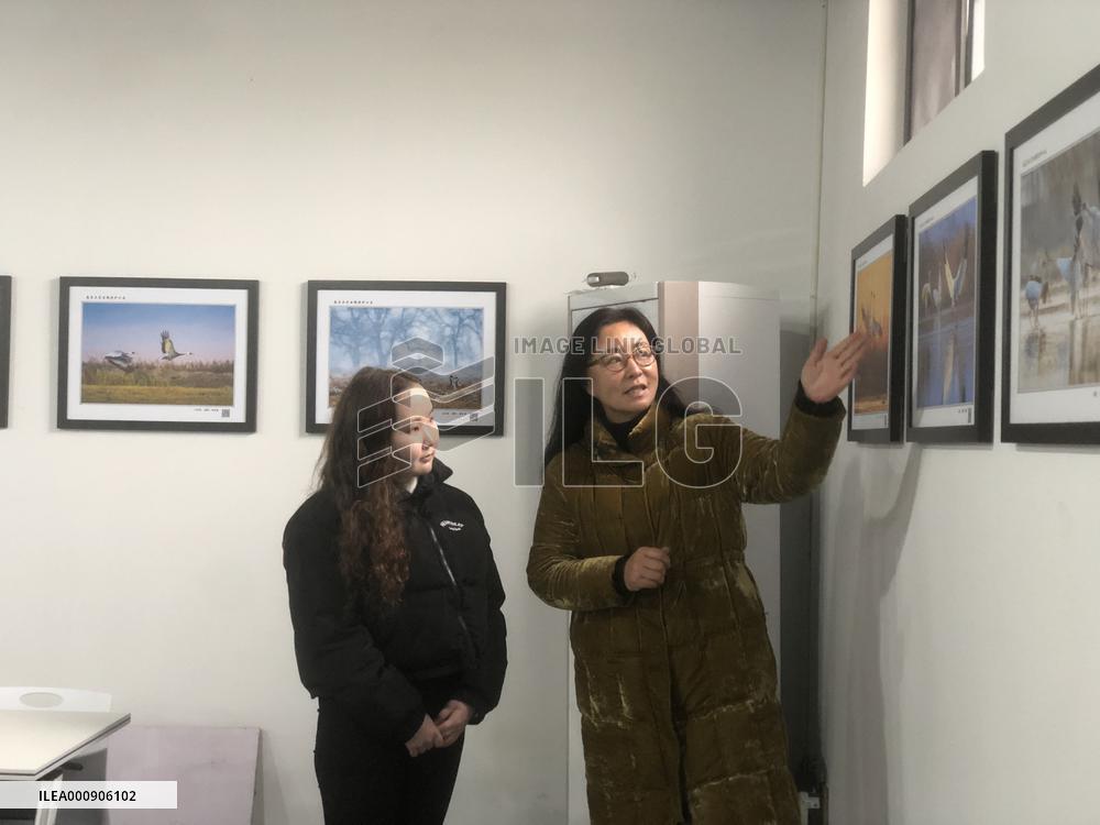 Xinhua Headlines: From Russia to China, a thousands-mile journey of Siberian cranes