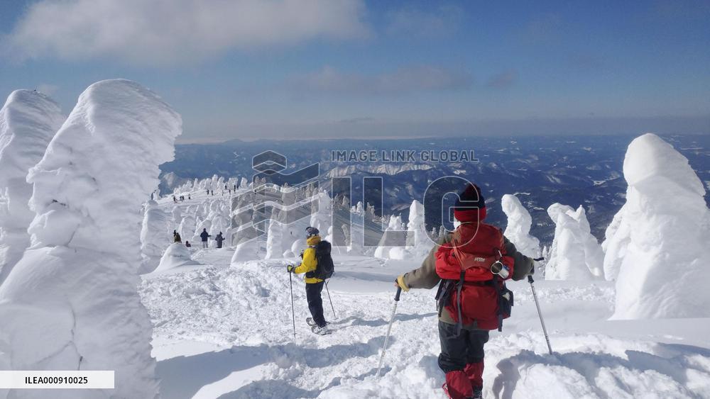 Frost-covered trees at ski resort in Japan