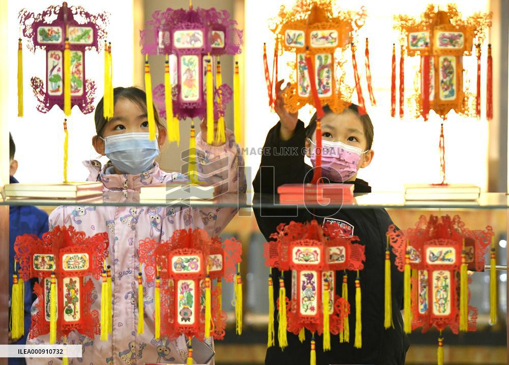 #CHINA-HEBEI-SHIJIAZHUANG-LANTERNS (CN)