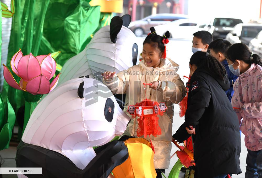#CHINA-HEBEI-SHIJIAZHUANG-LANTERNS (CN)