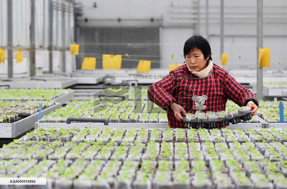 #CHINA-SPRING-FARMING (CN)