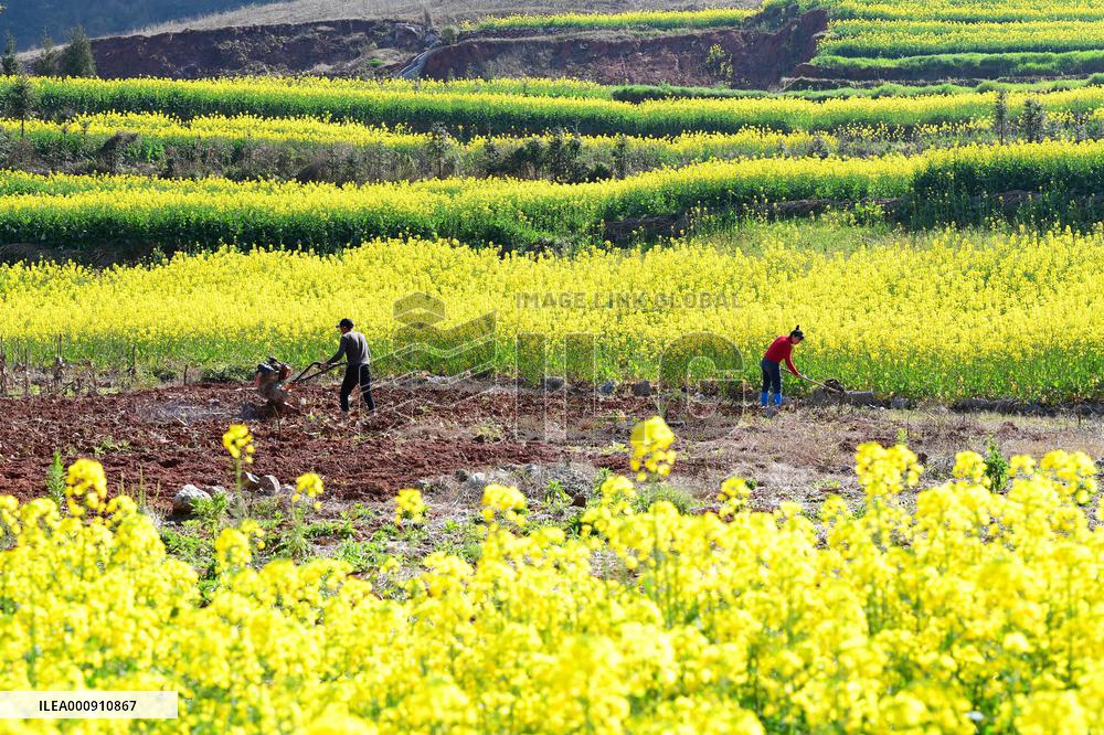 #CHINA-SPRING-FARMING (CN)