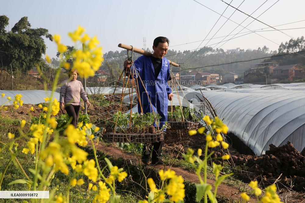#CHINA-SPRING-FARMING (CN)