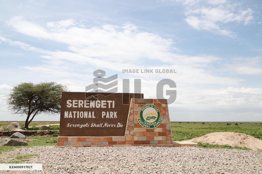 TANZANIA-SERENGETI NATIONAL PARK