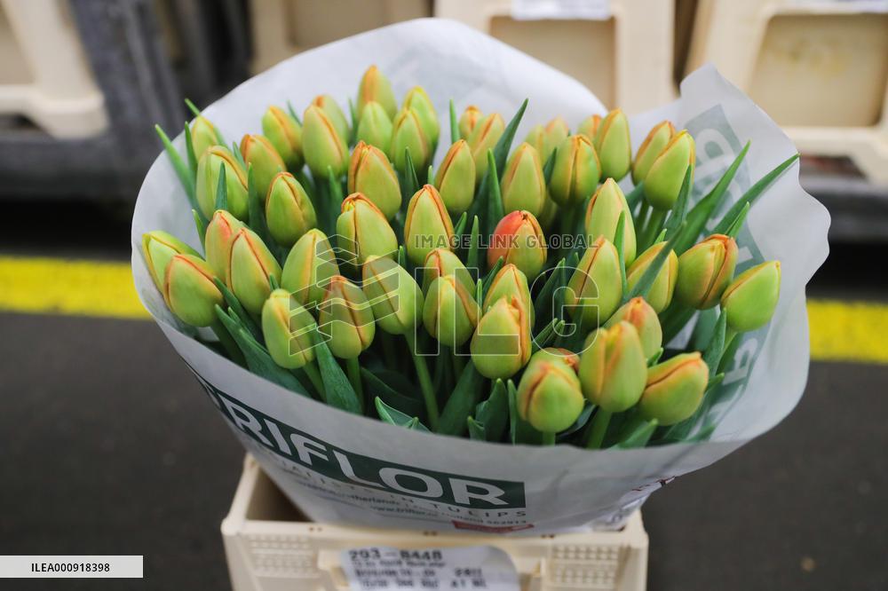 NETHERLANDS-UITHOORN-FLOWERS-VALENTINE'S DAY