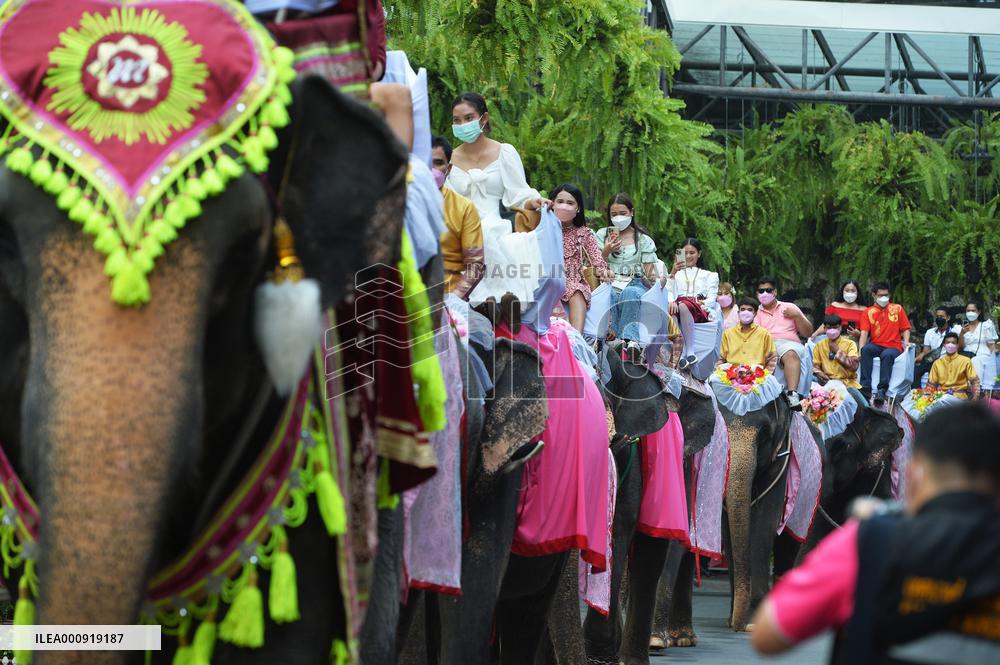 THAILAND-PATTAYA-ELEPHANTS-WEDDING-VALENTINE'S DAY