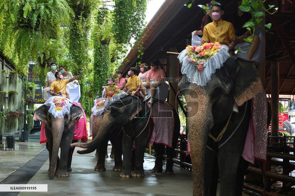 THAILAND-PATTAYA-ELEPHANTS-WEDDING-VALENTINE'S DAY