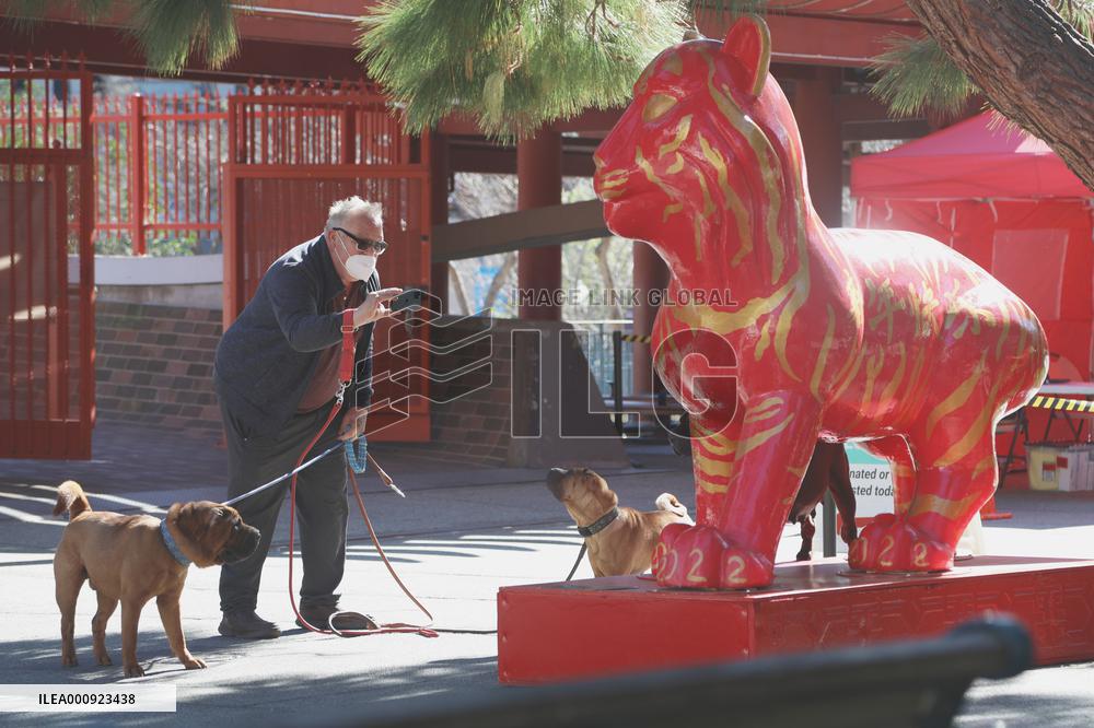U.S.-SAN FRANCISCO-TIGER-SHAPED-SCULPTURE