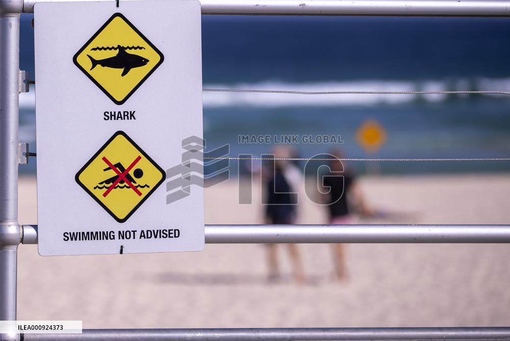 AUSTRALIA-SYDNEY-SHARK ATTACK-CLOSED BEACHES