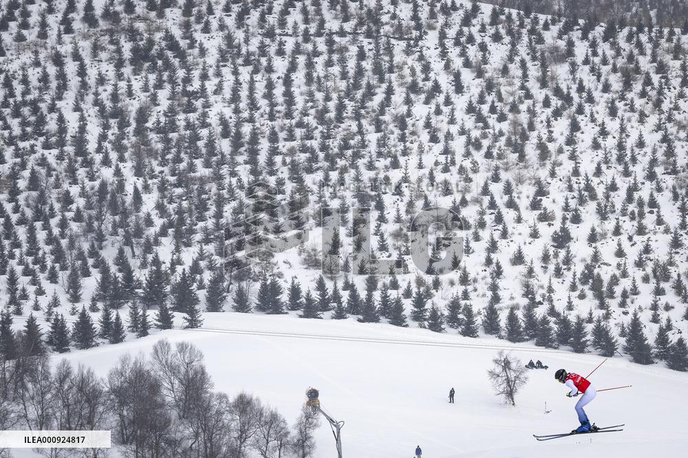 (BEIJING2022) CHINA-ZHANGJIAKOU-OLYMPIC WINTER GAMES-FREESTYLE SKIING-WOMEN'S SKI CROSS (CN)