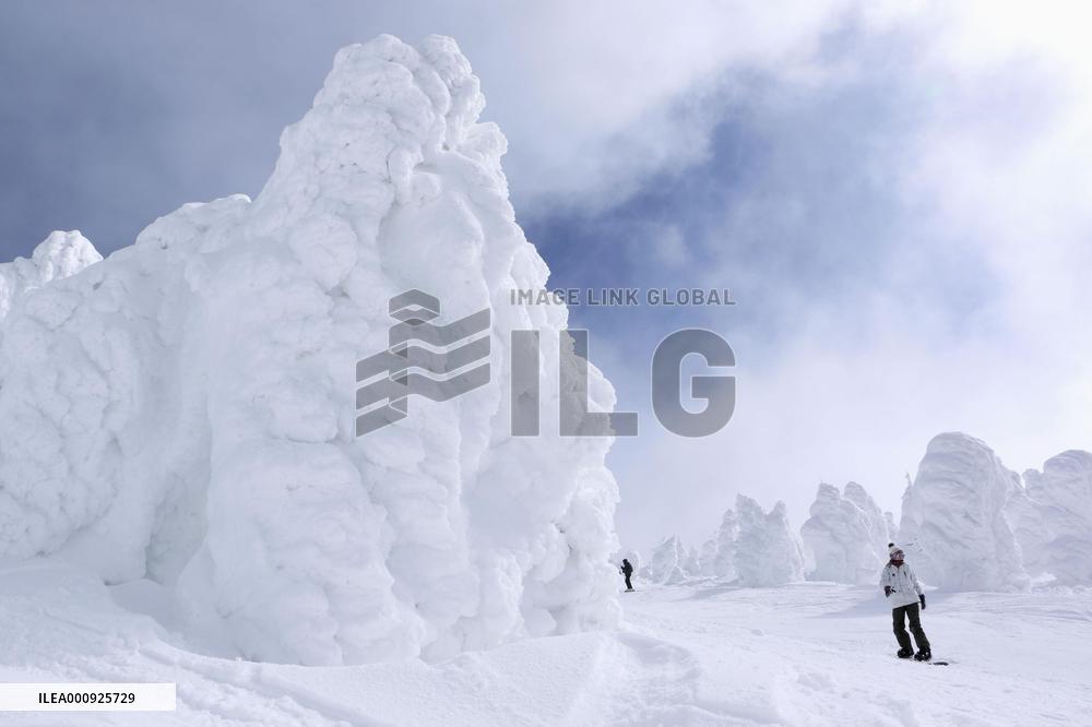 Frost-covered trees in Yamagata