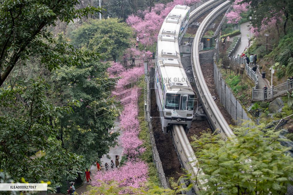 CHINA-CHONGQING-TRAIN-FLOWER (CN)